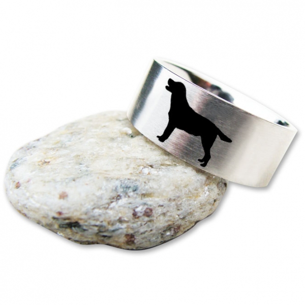 Ring Labrador
