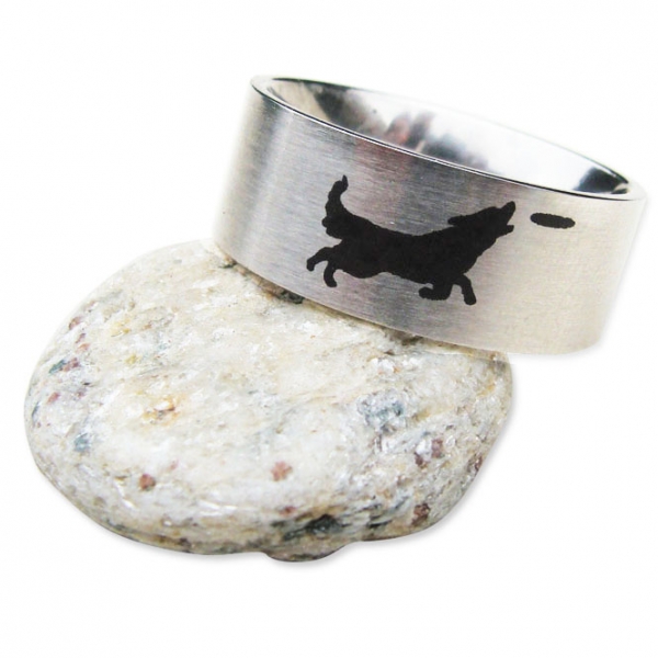 Ring Australien Shepherd